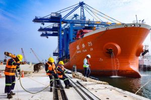 Second Project Vessel Zhen Hua 29 with STS Crane Berths at Vizhinjam International Seaport - Adani Port - Maritime News 003