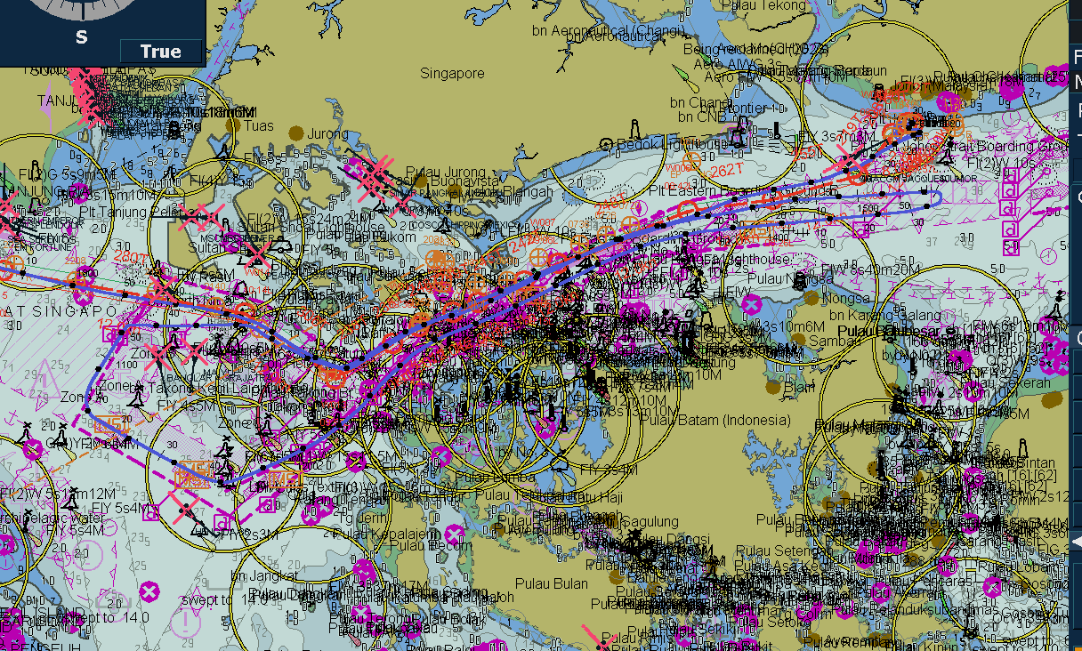 A Captain’s Tale of Traffic, Turns, and Timing: Singapore Strait